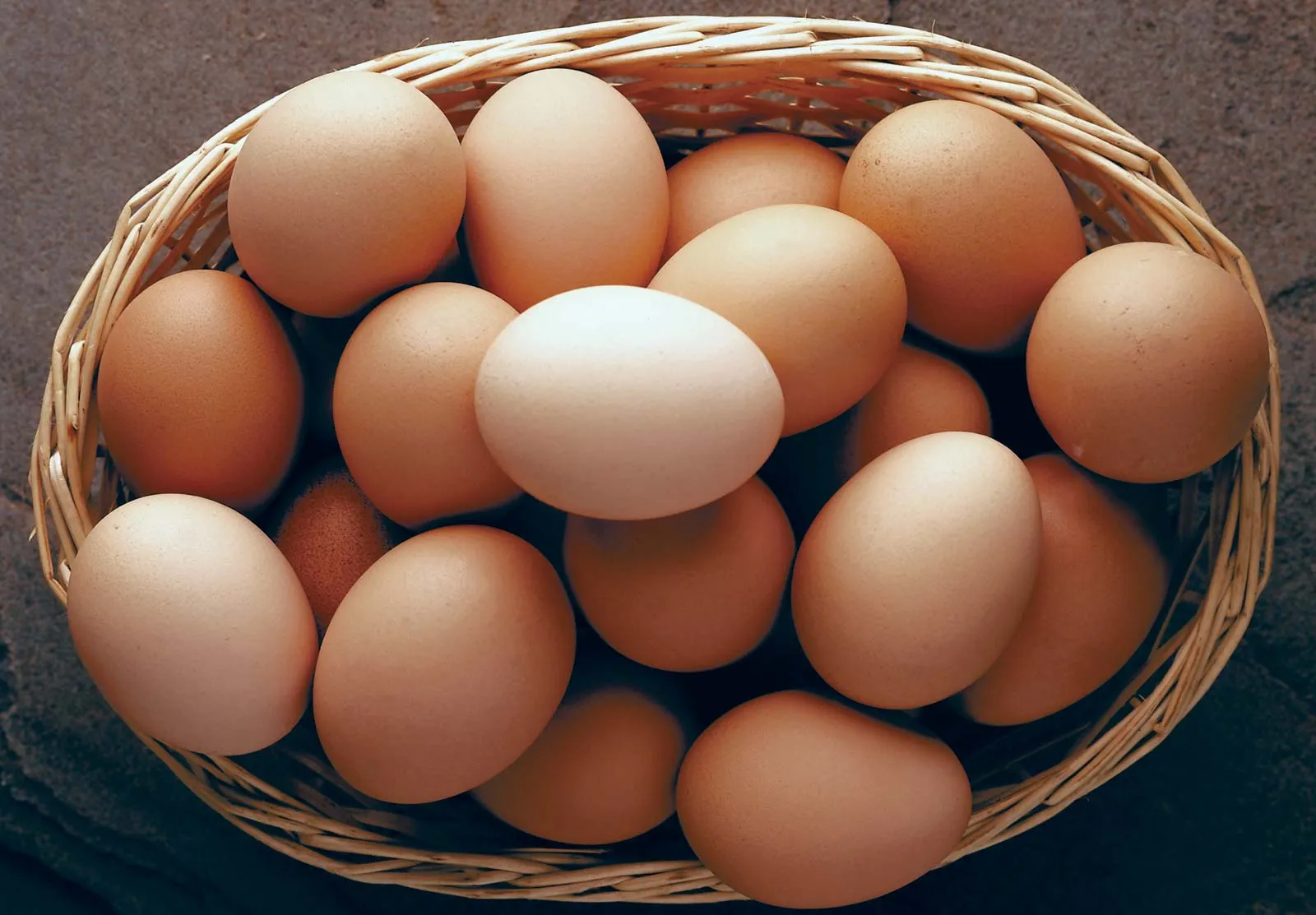John Egg
